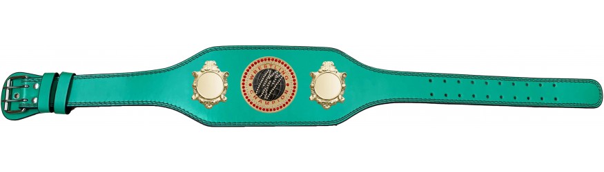 WRESTLING CHAMPIONSHIP BELT-BUD003/G/WRESTGEMG-4 COLOURS